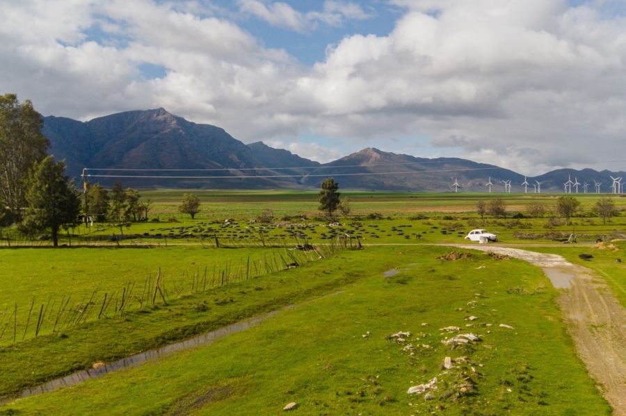 15 Bedroom Property for Sale in Gouda Western Cape